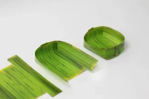 How a Discarded Leaf Earns Vietnam Millions in Annual Exports - image 0