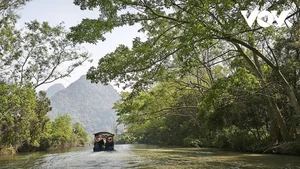 Explore Tuyet Son Cave: A Spiritual Trekking Journey Through Huong Pagoda's Ancient Apricot Forest - image 10