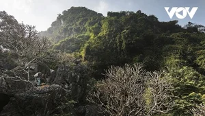 Explore Tuyet Son Cave: A Spiritual Trekking Journey Through Huong Pagoda's Ancient Apricot Forest - image 0