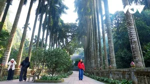 Explore Tuyet Son Cave: A Spiritual Trekking Journey Through Huong Pagoda's Ancient Apricot Forest - image 11