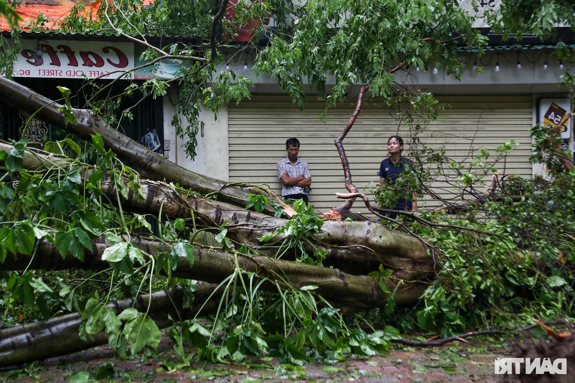 The Aftermath: Documenting the Devastation of Super Typhoon Yagi