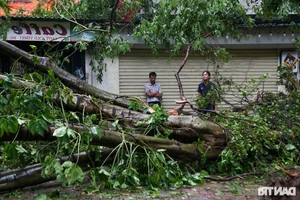 The Aftermath: Documenting the Devastation of Super Typhoon Yagi - image 0