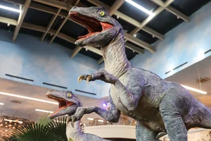 Discover the Dinosaur-Themed Cafe in Ho Chi Minh City Drawing Massive Crowds - image 9