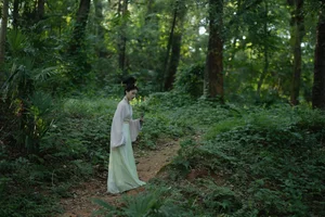 YiTuYu Art Language Vol.10483: Exploring the Ethereal Beauty of Qi E Rong Rong - image 10