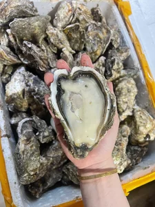 Cheap Chinese Golden Oysters Flood Vietnamese Seafood Markets - image 4