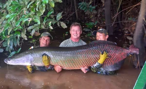 Angler Lands Massive 130 kg River Monster After Epic Battle - image 5