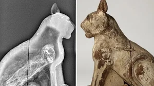 Fascinating Secrets of Ancient Egyptian Animal Mummification Revealed - image 6