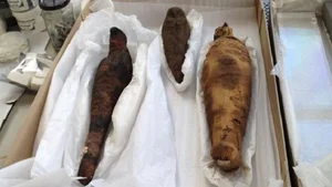 Fascinating Secrets of Ancient Egyptian Animal Mummification Revealed - image 1