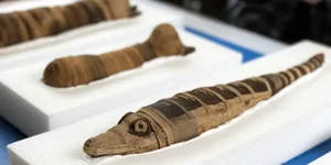 Fascinating Secrets of Ancient Egyptian Animal Mummification Revealed - image 5