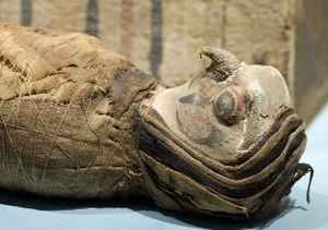 Fascinating Secrets of Ancient Egyptian Animal Mummification Revealed - image 3