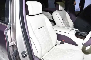 Hongqi Guoya: The Most Expensive Chinese Luxury Car Arrives in Russia - image 4
