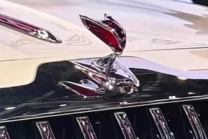 Hongqi Guoya: The Most Expensive Chinese Luxury Car Arrives in Russia - image 9