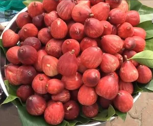 The Trending Lipstick-Red Fruit Snatching the Attention of Food Enthusiasts - image 5