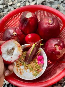 The Trending Lipstick-Red Fruit Snatching the Attention of Food Enthusiasts - image 6