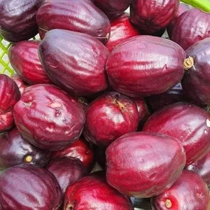 The Trending Lipstick-Red Fruit Snatching the Attention of Food Enthusiasts - image 8