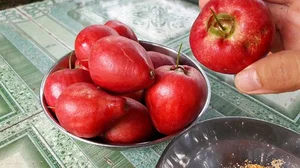 The Trending Lipstick-Red Fruit Snatching the Attention of Food Enthusiasts - image 7