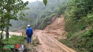 Heavy Rains and Flood Warnings in Mountainous Nghe An Province - image 4