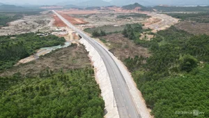 New Forest Crossing Road Connects 5 Trillion VND Industrial Park in Binh Dinh - image 2