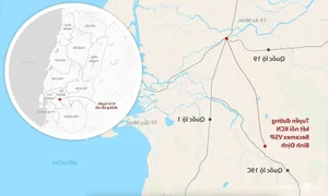 New Forest Crossing Road Connects 5 Trillion VND Industrial Park in Binh Dinh - image 7