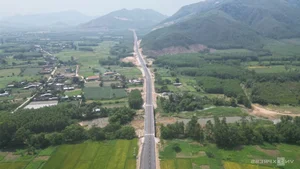 New Forest Crossing Road Connects 5 Trillion VND Industrial Park in Binh Dinh - image 0