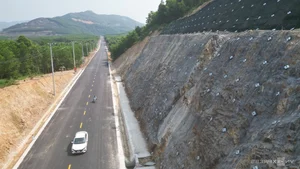 New Forest Crossing Road Connects 5 Trillion VND Industrial Park in Binh Dinh - image 6