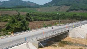 New Forest Crossing Road Connects 5 Trillion VND Industrial Park in Binh Dinh - image 8
