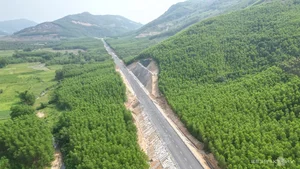 New Forest Crossing Road Connects 5 Trillion VND Industrial Park in Binh Dinh - image 5