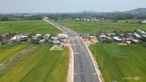 New Forest Crossing Road Connects 5 Trillion VND Industrial Park in Binh Dinh - image 3