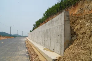 New Forest Crossing Road Connects 5 Trillion VND Industrial Park in Binh Dinh - image 4