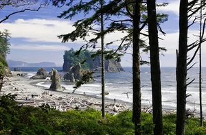 Discovering Big Sur: California’s Breathtaking Paradise Where Rugged Mountains Meet the Pacific Ocean’s Majestic Beauty - image 2