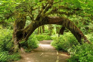Discovering Big Sur: California’s Breathtaking Paradise Where Rugged Mountains Meet the Pacific Ocean’s Majestic Beauty - image 5