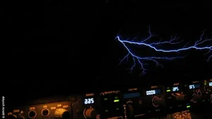 Unlocking the Mystery: Why Purple Light Appears in Forests During Thunderstorms - image 4