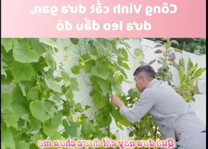Inside the Luxurious Mansion of Celebrity Couple Cong Vinh and Thuy Tien - image 0