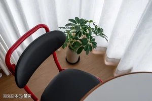 Inside the Viral 40m² Apartment: Smart Design and Modern Living - image 4