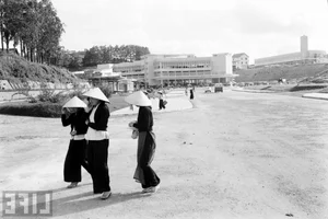 Rare Vintage Photos of Da Lat Market from 63 Years Ago - image 7