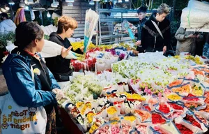 Inside Hanoi's Largest Flower Market Bustling Ahead of Lunar New Year - image 6