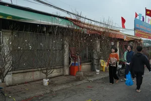 Inside Hanoi's Largest Flower Market Bustling Ahead of Lunar New Year - image 9