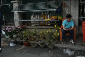 Inside Hanoi's Largest Flower Market Bustling Ahead of Lunar New Year - image 3