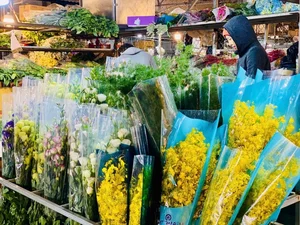 Inside Hanoi's Largest Flower Market Bustling Ahead of Lunar New Year - image 8