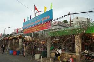 Inside Hanoi's Largest Flower Market Bustling Ahead of Lunar New Year - image 1