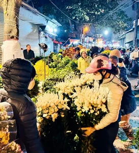 Inside Hanoi's Largest Flower Market Bustling Ahead of Lunar New Year - image 0
