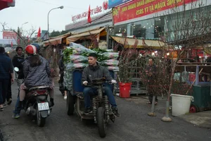 Inside Hanoi's Largest Flower Market Bustling Ahead of Lunar New Year - image 7