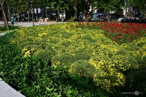 Abandoned Prime Land Transformed Into Beautiful Central HCMC Park - image 7