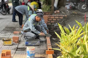 Abandoned Prime Land Transformed Into Beautiful Central HCMC Park - image 6