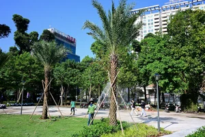 Abandoned Prime Land Transformed Into Beautiful Central HCMC Park - image 2