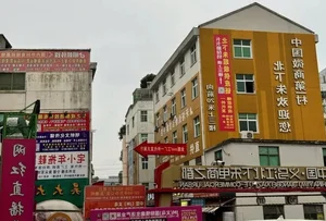 From Riches to Ruins: The Mystery of the Abandoned Billionaire Village - image 1