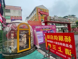 From Riches to Ruins: The Mystery of the Abandoned Billionaire Village - image 6