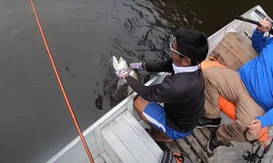 The Legend of the Dragon-Scaled Fish: A Rare Catch for One Lucky Angler - image 10