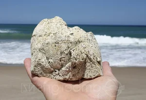 The Fascinating History of Ambergris: From Perfume to Royal Delicacy - image 0