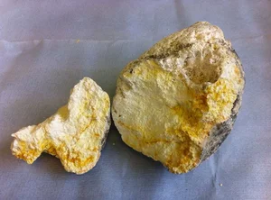 The Fascinating History of Ambergris: From Perfume to Royal Delicacy - image 1